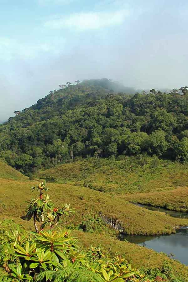 Central Highlands